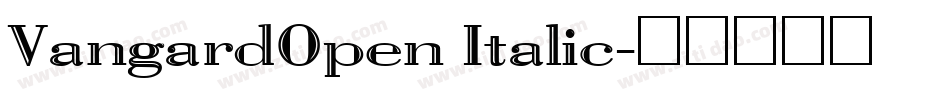 VangardOpen Italic字体转换